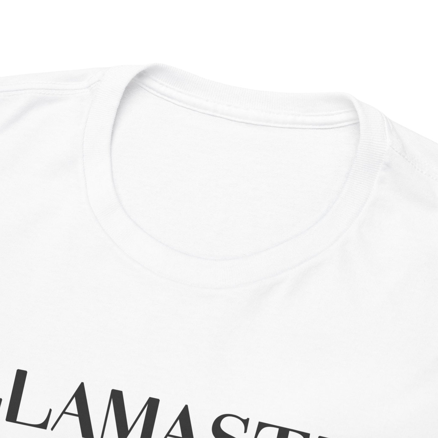 Llamaste, k*rwa mać, zabawna koszulka